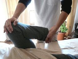 �A�`�[�u���̐G�f���i